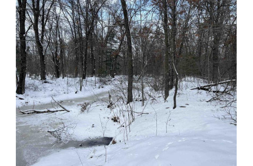 85 ACRES 22nd St, Necedah, WI 54646