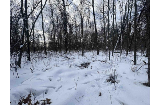 85 ACRES 22nd St, Necedah, WI 54646