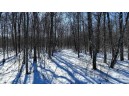 85 ACRES 22nd St, Necedah, WI 54646