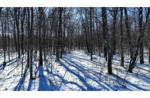 85 ACRES 22nd St, Necedah, WI 54646