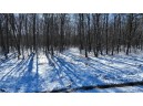 85 ACRES 22nd St, Necedah, WI 54646