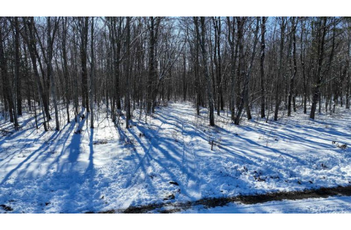 85 ACRES 22nd St, Necedah, WI 54646