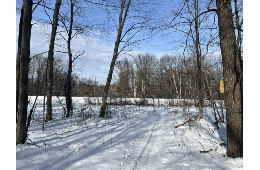 85 ACRES 22nd St, Necedah, WI 54646