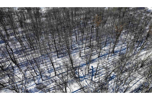 85 ACRES 22nd St, Necedah, WI 54646