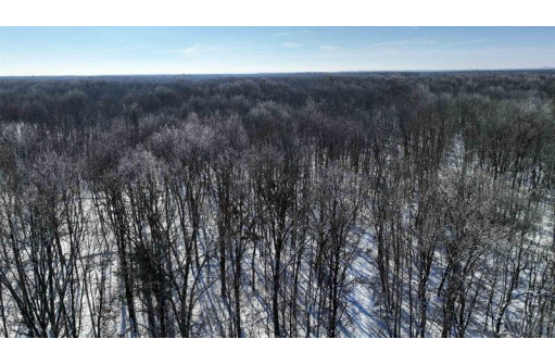 85 ACRES 22nd St, Necedah, WI 54646