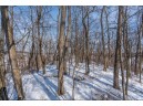 LOT 2 CSM 14601 Tower Line Rd, Marshall, WI 53559