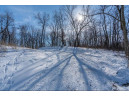 LOT 2 CSM 14601 Tower Line Rd, Marshall, WI 53559