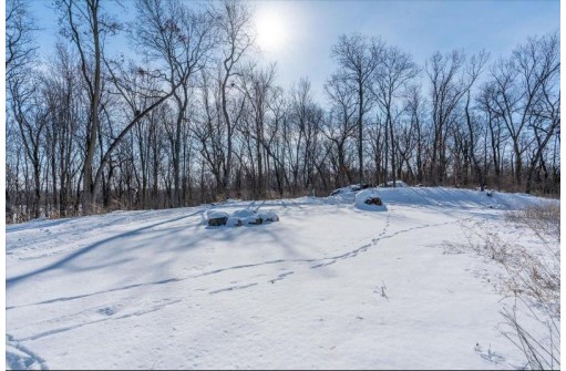 LOT 2 CSM 14601 Tower Line Rd, Marshall, WI 53559