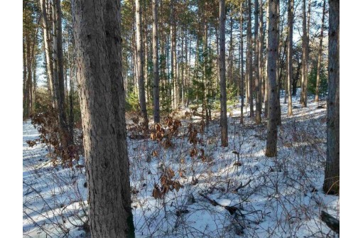 LOT 30 W 8th Ct, Wisconsin Dells, WI 53965