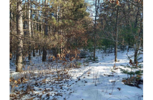 LOT 30 W 8th Ct, Wisconsin Dells, WI 53965