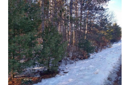 LOT 30 W 8th Ct, Wisconsin Dells, WI 53965