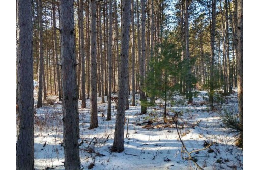 LOT 30 W 8th Ct, Wisconsin Dells, WI 53965