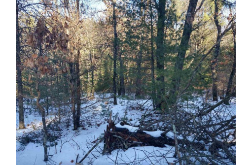 LOT 30 W 8th Ct, Wisconsin Dells, WI 53965