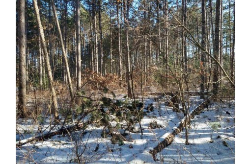 LOT 30 W 8th Ct, Wisconsin Dells, WI 53965