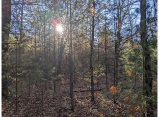 19th Creek Lot 109 Friendship, WI 53934