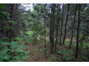 LOT 1 17th St, Necedah, WI 54646