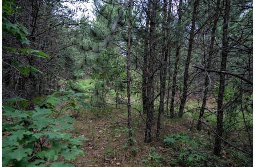 LOT 1 17th St, Necedah, WI 54646