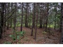 LOT 1 17th St, Necedah, WI 54646