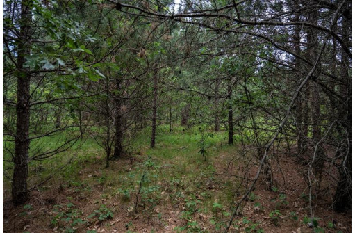 LOT 1 17th St, Necedah, WI 54646