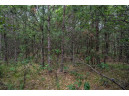 LOT 1 17th St, Necedah, WI 54646