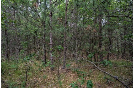 LOT 1 17th St, Necedah, WI 54646