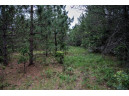 LOT 1 17th St, Necedah, WI 54646