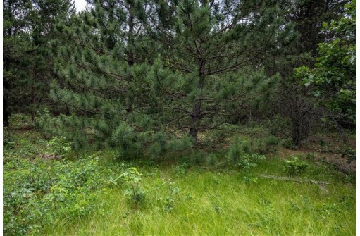 LOT 1 17th St, Necedah, WI 54646