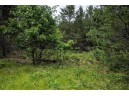 LOT 1 17th St, Necedah, WI 54646