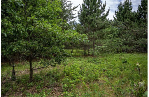 LOT 1 17th St, Necedah, WI 54646