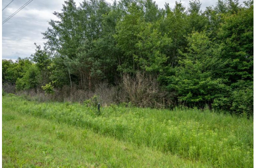 LOT 2 17th St, Necedah, WI 54646