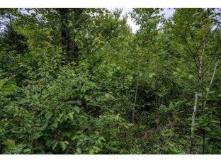 LOT 2 17th St Necedah, WI 54646