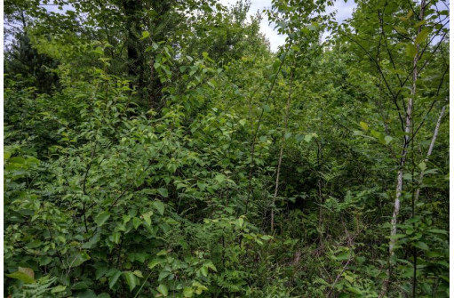 LOT 2 17th St, Necedah, WI 54646