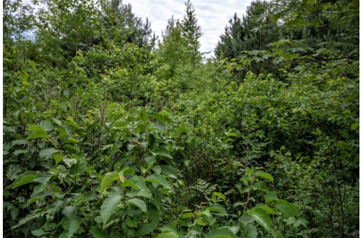 LOT 2 17th St, Necedah, WI 54646