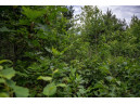 LOT 2 17th St, Necedah, WI 54646