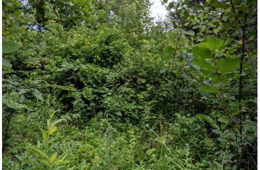 LOT 2 17th St, Necedah, WI 54646