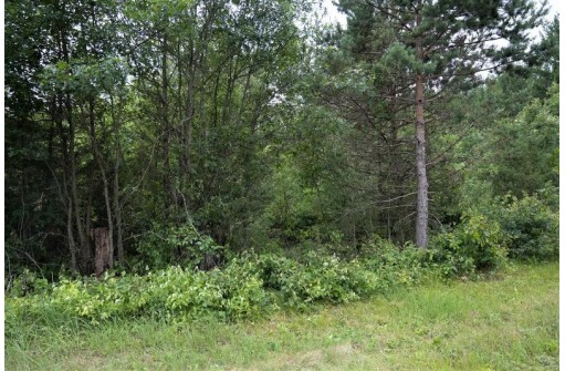 LOT 3 17th St, Necedah, WI 54646