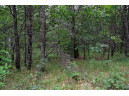 LOT 3 17th St, Necedah, WI 54646