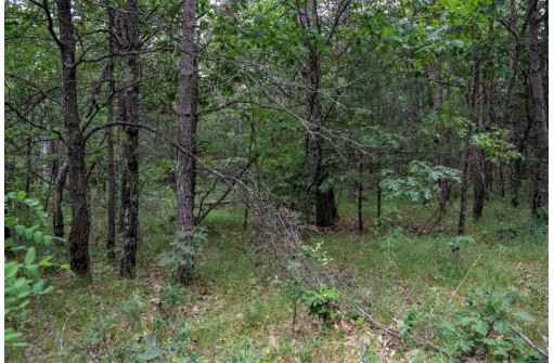 LOT 3 17th St, Necedah, WI 54646