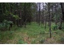 LOT 3 17th St, Necedah, WI 54646