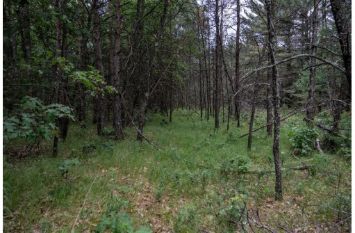 LOT 3 17th St, Necedah, WI 54646