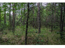 LOT 3 17th St, Necedah, WI 54646