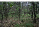 LOT 3 17th St, Necedah, WI 54646