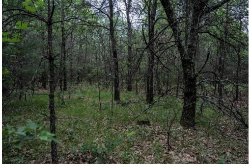 LOT 3 17th St, Necedah, WI 54646