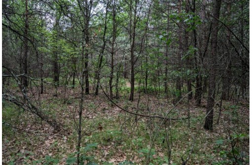 LOT 3 17th St, Necedah, WI 54646