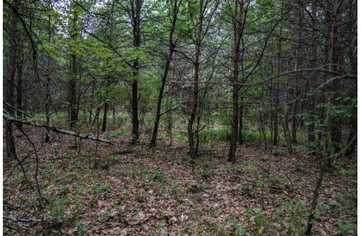 LOT 3 17th St, Necedah, WI 54646