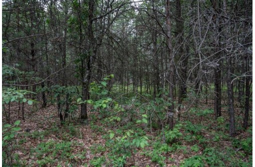 LOT 3 17th St, Necedah, WI 54646