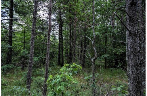 LOT 3 17th St, Necedah, WI 54646