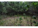 LOT 3 17th St, Necedah, WI 54646