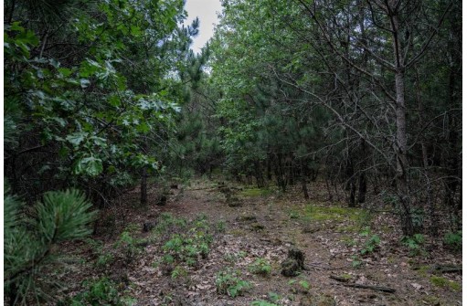 LOT 3 17th St, Necedah, WI 54646