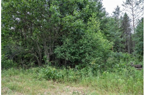 LOT 3 17th St, Necedah, WI 54646